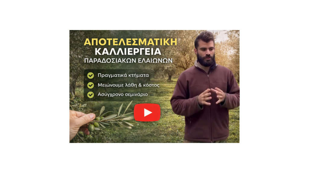 Αποτελεσματική-καλλιέργεια-παραδοσιακών-ελαιώνων